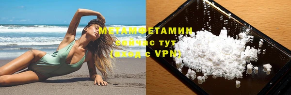 индика Новозыбков
